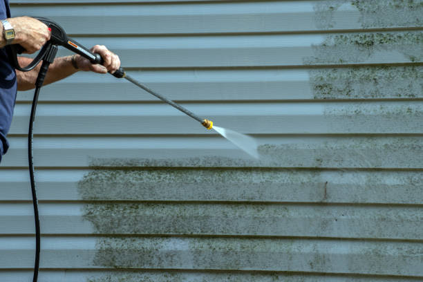 Best Residential Pressure Washing Services  in Elburn, IL